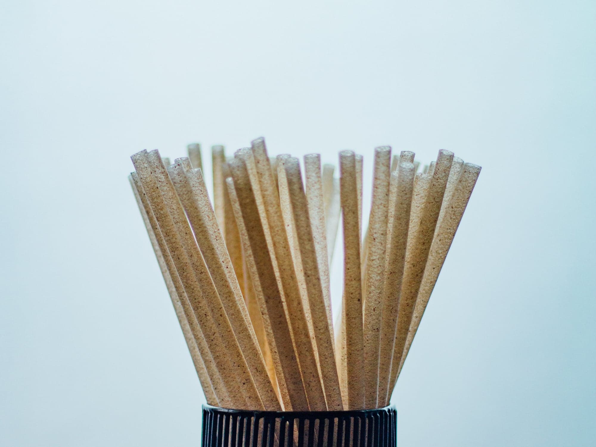 Compostable Straws